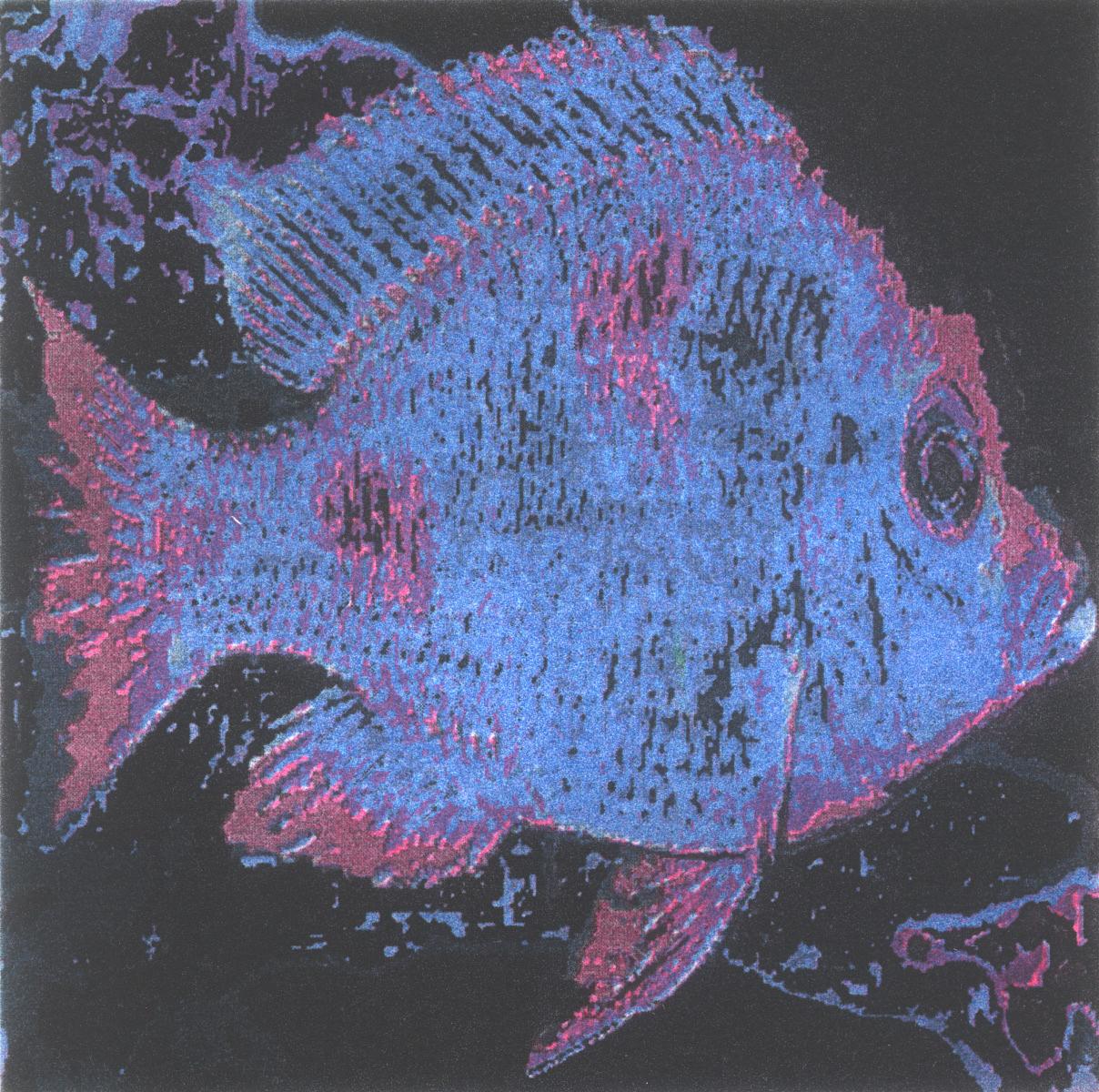 Paul